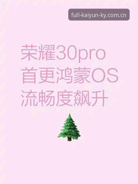 资深用户深度解析KY体育官方版本使用心得：从下载到流畅体验的实战经验